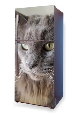 Fridge sticker cat P17 - Graphic design featuring a large, realistic cat head with clear details.