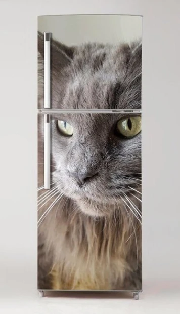 Fridge sticker cat P17 - Graphic design featuring a large gray and white cat head with striking eyes.