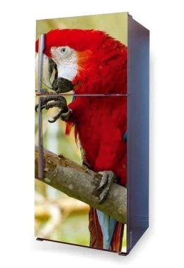 Fridge wrap sticker with a red parrot design on a branch, featuring intricate details.