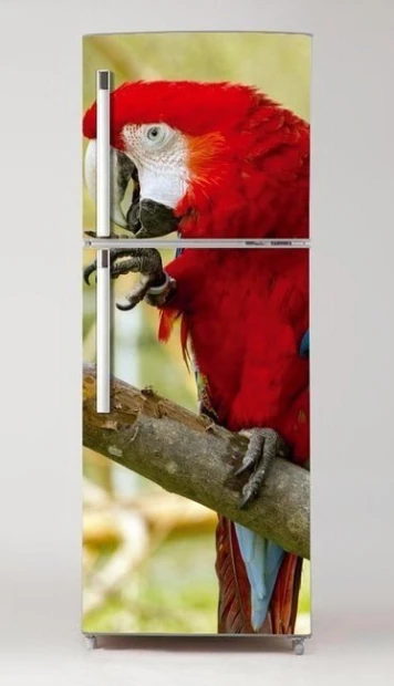 Fridge wrap sticker with parrot design P21 - Kitchen decor with light walls and wooden accents.