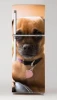 Fridge wrap sticker dog P19 - Graphic design featuring a brown-furred dog with large eyes.