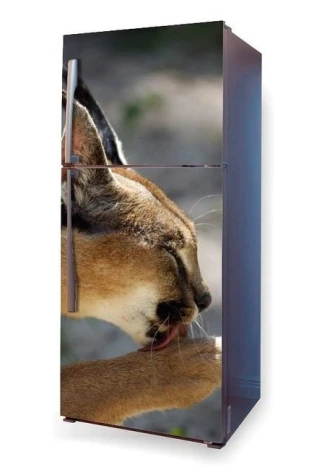 Fridge wrap sticker Lynx P14 - Close-up graphic of a lynx licking its paw.