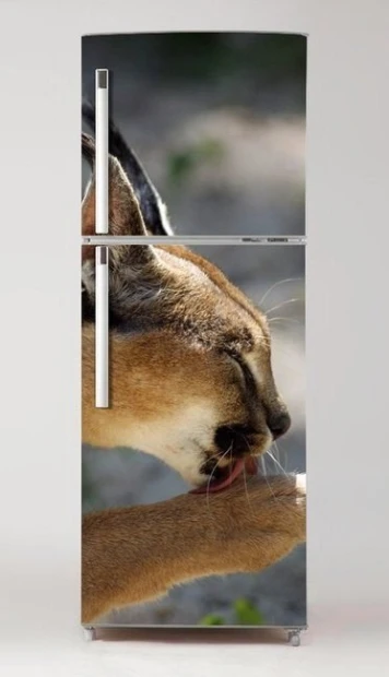 Fridge wrap sticker Lynx P14 - Graphic design featuring a close-up of a lynx with detailed fur and paws.