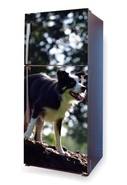 Fridge wrap sticker featuring a dog walking design. The graphic shows a dog standing on the ground.