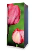 Refrigerator wrap sticker with pink tulips on a green background, graphic design P8.