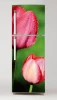 Fridge wrap sticker with pink tulips on a green background. Design features two tulips.