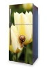 Fridge wrap sticker with yellow tulips and a snail design, featuring water droplets.