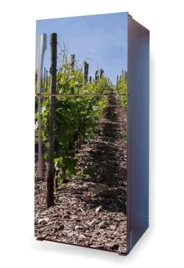 Refrigerator wrap sticker vineyard P10 - Graphic design featuring a vineyard with rows of grapevines and a path.