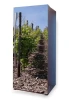 Refrigerator wrap sticker vineyard P10 - Graphic design featuring a vineyard with rows of grapevines and a path.