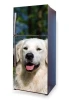 Fridge sticker featuring a Golden Retriever against a green background, perfect for kitchen decor.