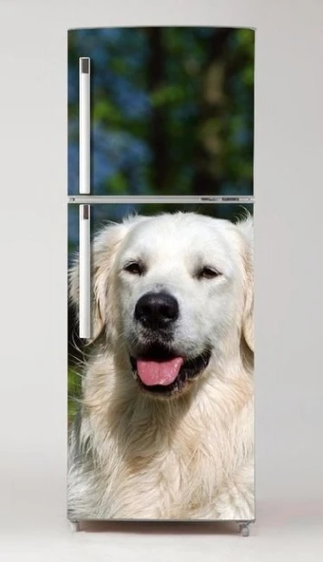 Fridge wrap sticker featuring a Golden Retriever, styled in a modern kitchen with light-colored walls and furniture.