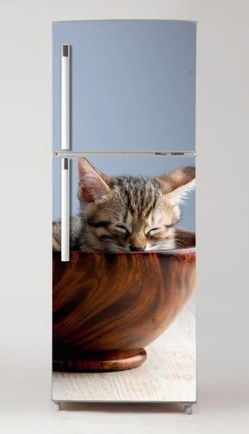Fridge sticker with a cat sleeping in a brown bowl on a light background, design P56.