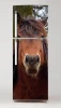 Fridge sticker with horse design P30 - Kitchen decor with light-colored walls and modern furniture.
