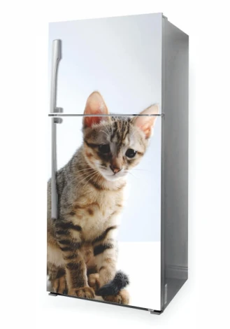Fridge wrap sticker cat P53 - Graphic design. Brown cat with clear details on a white background.