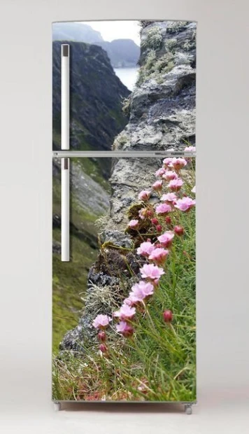 Fridge wrap sticker with floral design featuring pink flowers against a mountain rock backdrop.