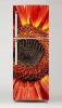 Fridge wrap sticker with a sunflower design on a colorful background.