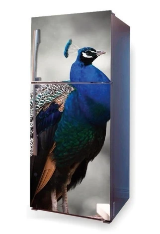 Fridge wrap sticker Peacock P31 - Graphic design featuring a peacock with fanned feathers in shades of green.
