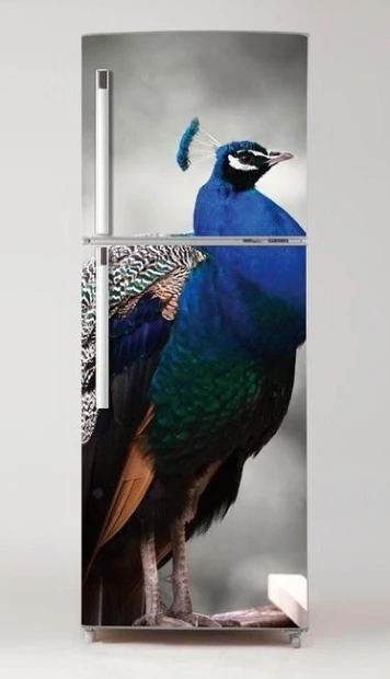 Fridge wrap sticker Peacock P31 - Graphic design featuring a peacock with vibrant green plumage.