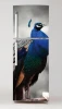 Fridge wrap sticker Peacock P31 - Graphic design featuring a peacock with vibrant green plumage.