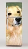 Fridge sticker P22 featuring a close-up of a golden retriever on a light background.
