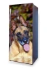 Refrigerator wrap sticker featuring a Malinois dog with a striking expression.