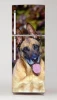 Fridge wrap sticker featuring a detailed graphic of a Malinois dog.