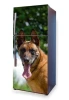 Fridge wrap sticker featuring a smiling Malinois dog design.