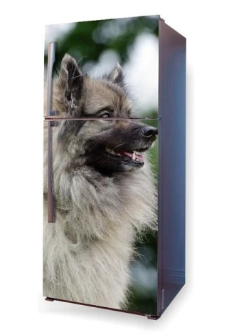 Fridge wrap sticker Keeshond P49 - Graphic design featuring a profile of a Keeshond dog.