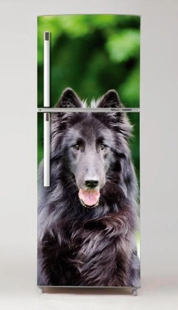 Refrigerator sticker Groenendael dog P28 - Graphic design featuring a black dog with long fur on a background.