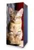 Fridge wrap sticker with a relaxed cat design. The cat sits with closed eyes and has striped fur.