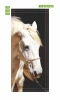 Door mural Horse P106 - Graphic design featuring a white horse with a long mane on a dark background.