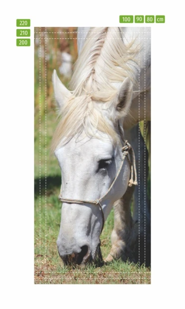 Door wallpaper Horse P116 - Graphic design featuring a close-up of a white horse with visible mane and harness.