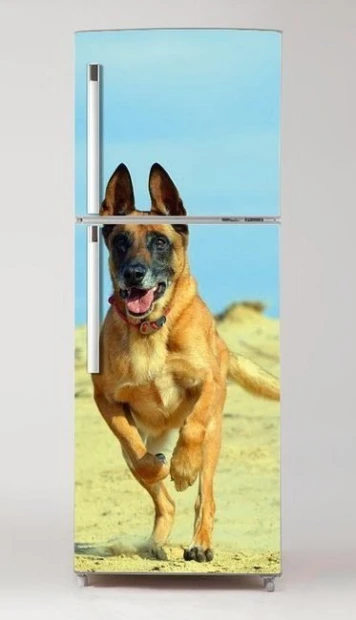 Fridge wrap sticker featuring a running Malinois dog on a beach background with clear details.