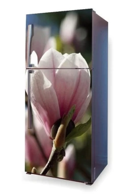 Magnolia P45 fridge sticker - Graphic design featuring pink magnolia flowers on a dark background.