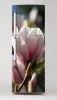 Magnolia P45 fridge sticker - Graphic design featuring pink magnolia flowers on a dark background.