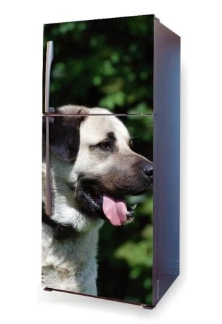 Fridge wrap sticker featuring a Kangal dog design in natural colors, perfect for kitchen decor.
