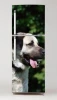 Fridge sticker Kangal dog P48 - Kitchen decor with light-colored walls and modern furniture.