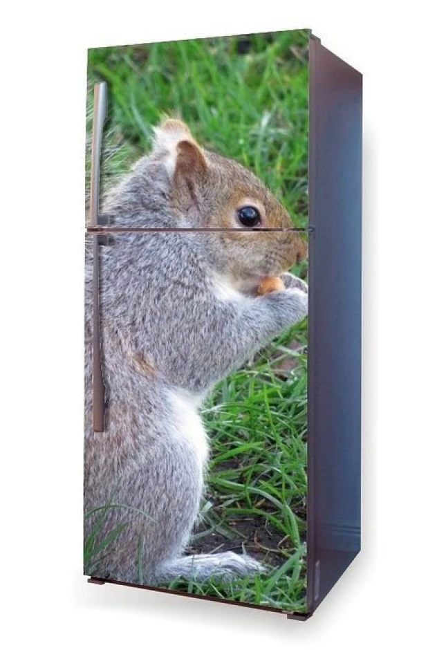 Fridge wrap sticker with a squirrel design. The squirrel sits on grass holding a nut in its paws.
