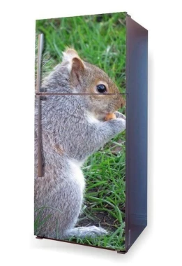 Fridge wrap sticker with a squirrel design. The squirrel sits on grass holding a nut in its paws.