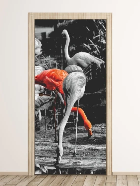 Flamingo door wallpaper P138 - Graphic design featuring flamingos in shades of gray with one accent.