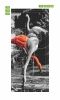 Flamingo door wallpaper P138 - Graphic design with flamingos in various poses, some in gray and white.