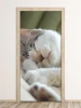 Sleeping cat door mural P130 - Graphic design. Cat lying on its side with closed eyes, fur in shades of gray.