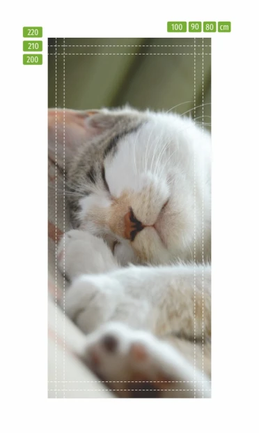 Sleeping cat door mural P130 - Graphic design. Cat lying on its side with closed eyes, fur in shades of gray and white.