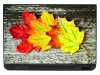 Laptop sticker autumn leaves P449 - Graphic design. Red, yellow, and green leaves on a gray background.