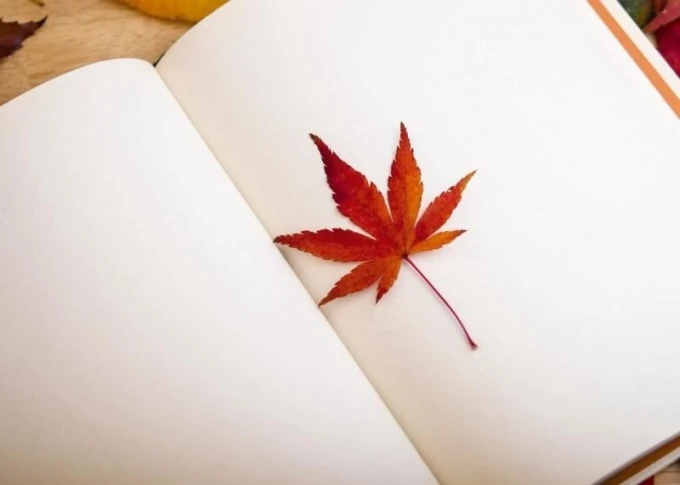 Dry-erase board 215 leaf - Graphic design. Maple leaf in shades of red on a white background.