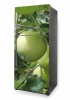 Refrigerator wrap sticker apple tree P469 - Graphic design. Green apples on branches with leaves.