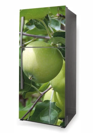 Refrigerator wrap sticker apple tree P469 - Graphic design. Green apples on branches with leaves.