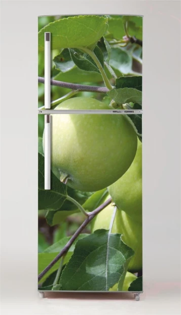 Refrigerator wrap sticker apple tree P469 - Graphic design. Green apples on branches with leaves.