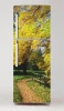 Fridge wrap sticker P485 - Graphic design featuring a path among trees with yellow leaves.
