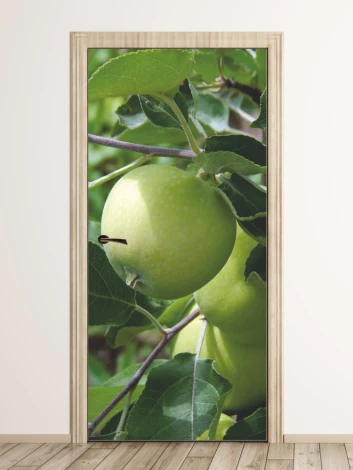 Apple Door Mural P469 - Graphic design featuring green apples on a branch with leaves against a light background.
